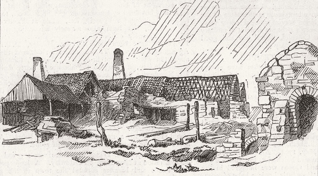 DARLINGTON. Witton Park Colliery, original station 1875 old antique print